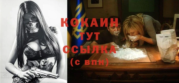 МДПВ Алзамай