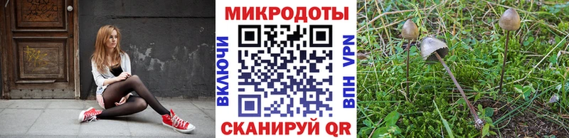 Галлюциногенные грибы GOLDEN TEACHER  купить   Черемхово 