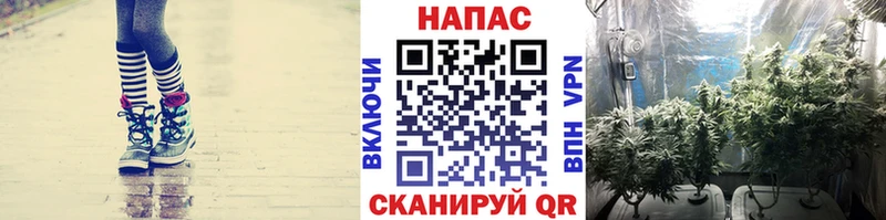 blacksprut ONION  Черемхово  Канабис Amnesia 